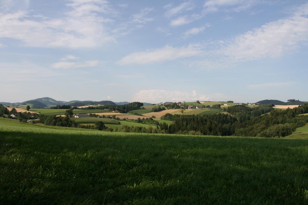 Kirchenwirt Inn Kreuzen  Exteriér fotografie